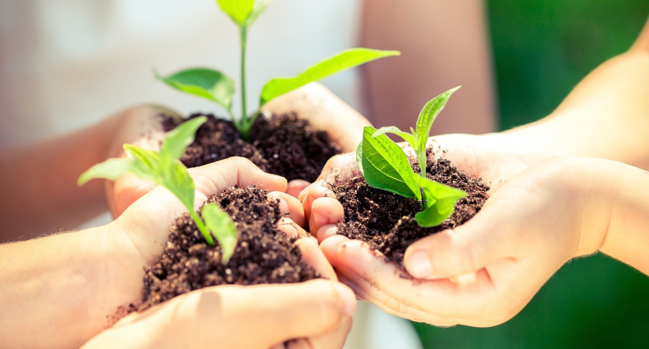 Сексуалдық аналар ұлдарын сиқырлайды