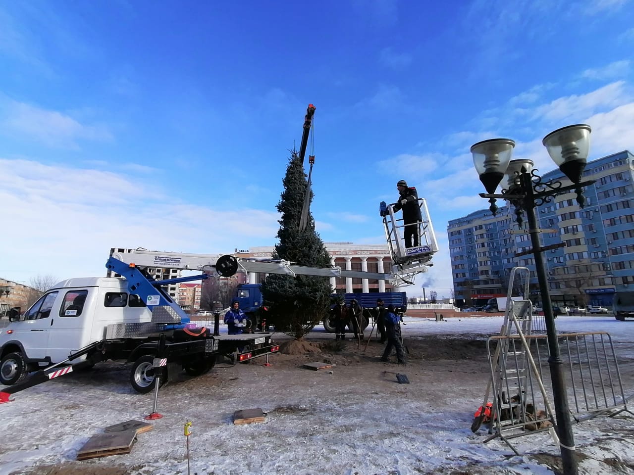 Атырауда Германиядан әкелінген шырша орнатылды