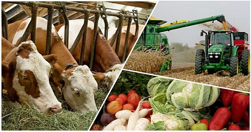 Түркістан облысында 481,3 млрд теңгенің өнеркәсіп өнімі өндірілді