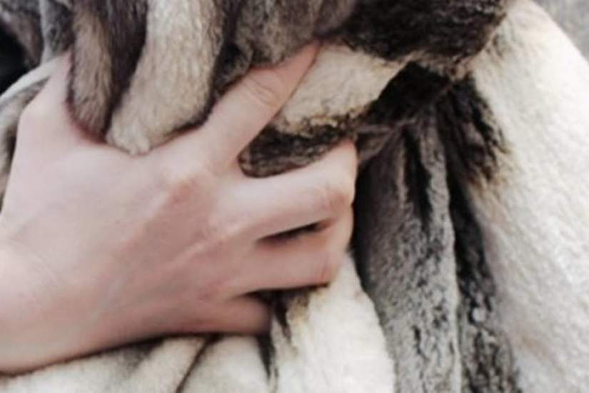 Қызылордада  үйге ұрлыққа түскендер ұсталды