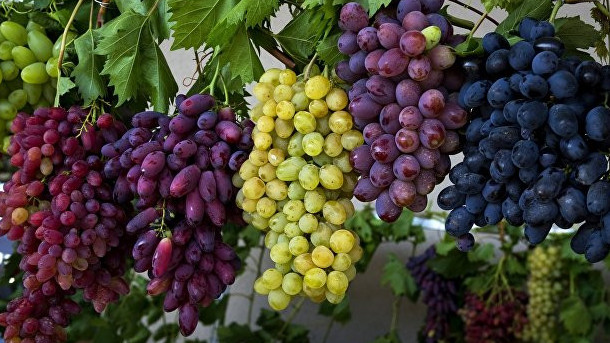 Коронавирустың алдын алуға қандай өнімдер көмектеседі