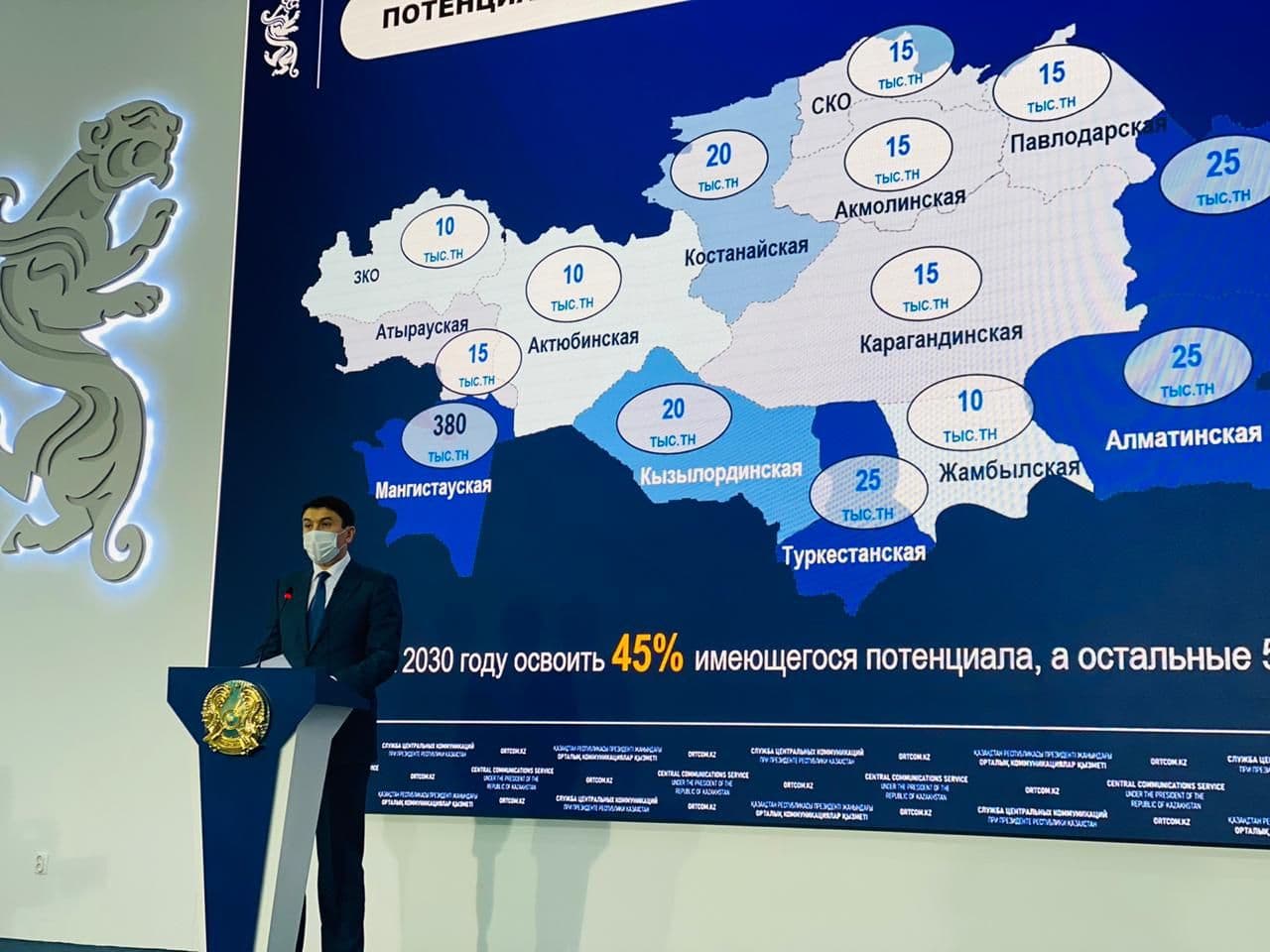 Адамдар тарапынан жануарларға негізсіз қатыгездікті түсіну мүмкін емес - министр