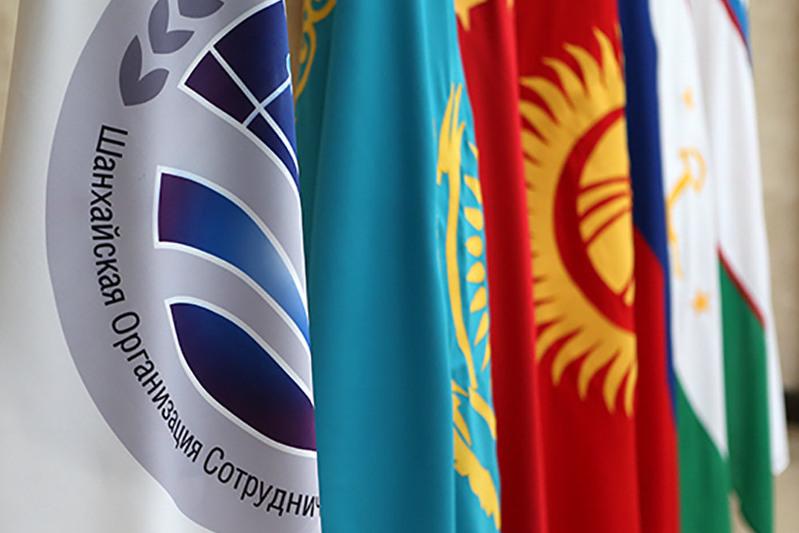 ШЫҰ байқаушылары оң бағалады