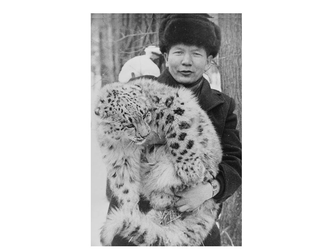 Жануарлардың жанашыры