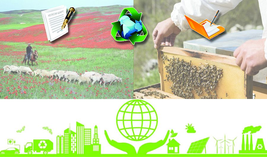 Қоршаған ортаны қорғайтын кәсіпкерлікке қаржы алады