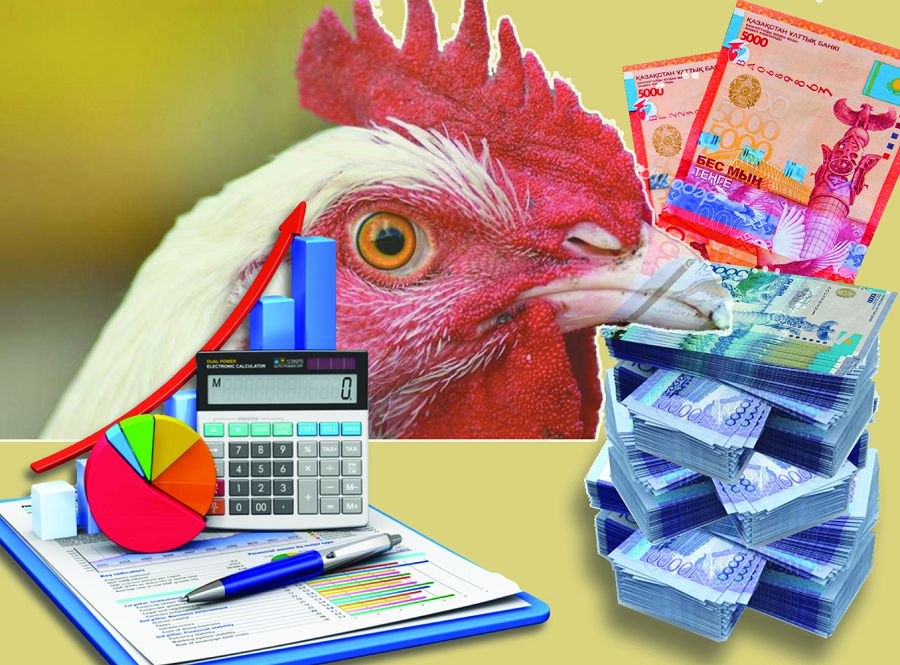 Құс тұмауынан зардап шеккендерге өтемақы төленді