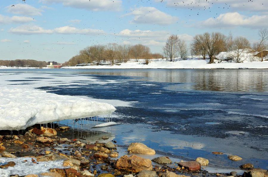 Тілсіз жау тұтқиылдан тап бермесін