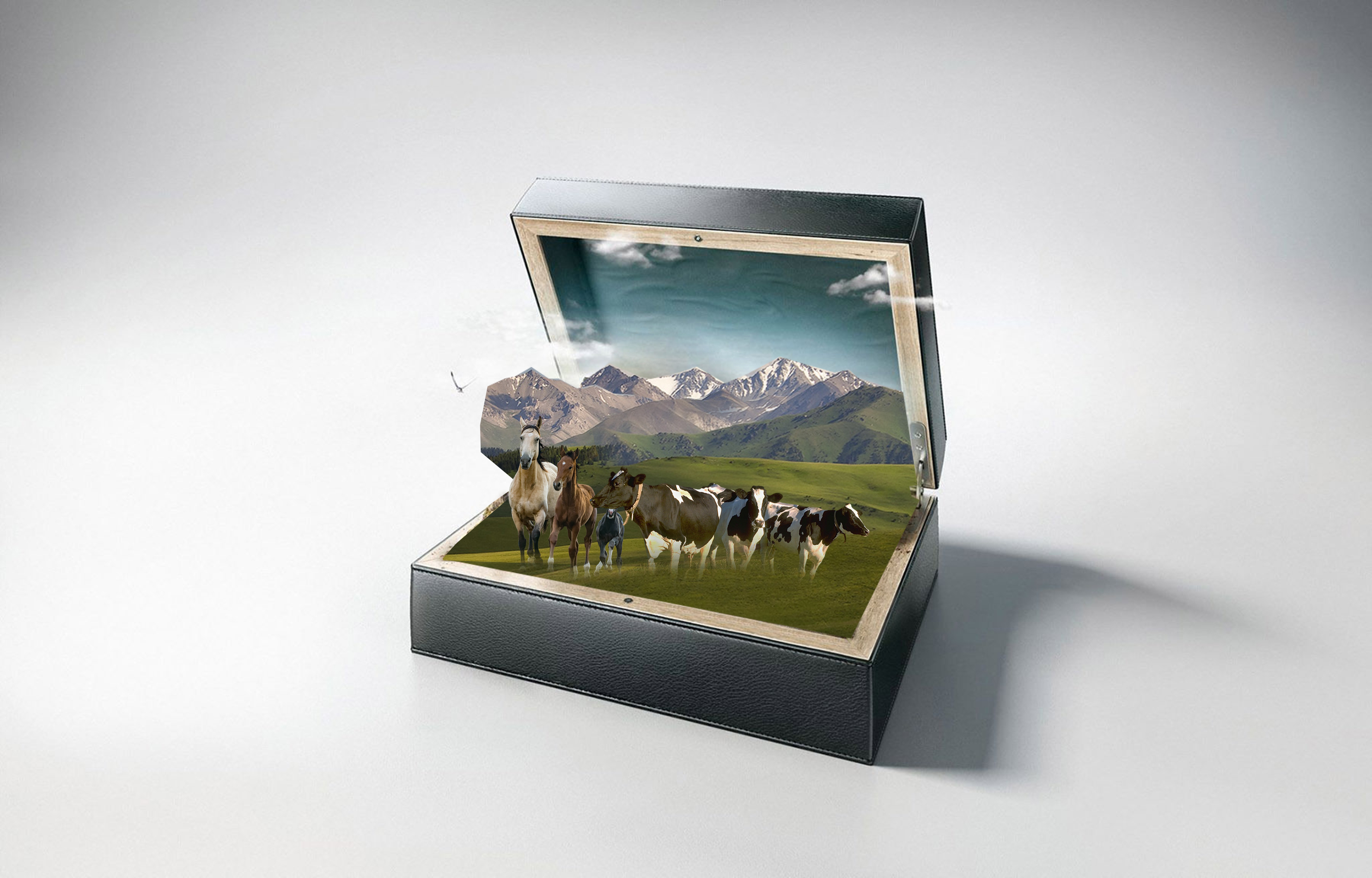 Жер – басты байлығымыз