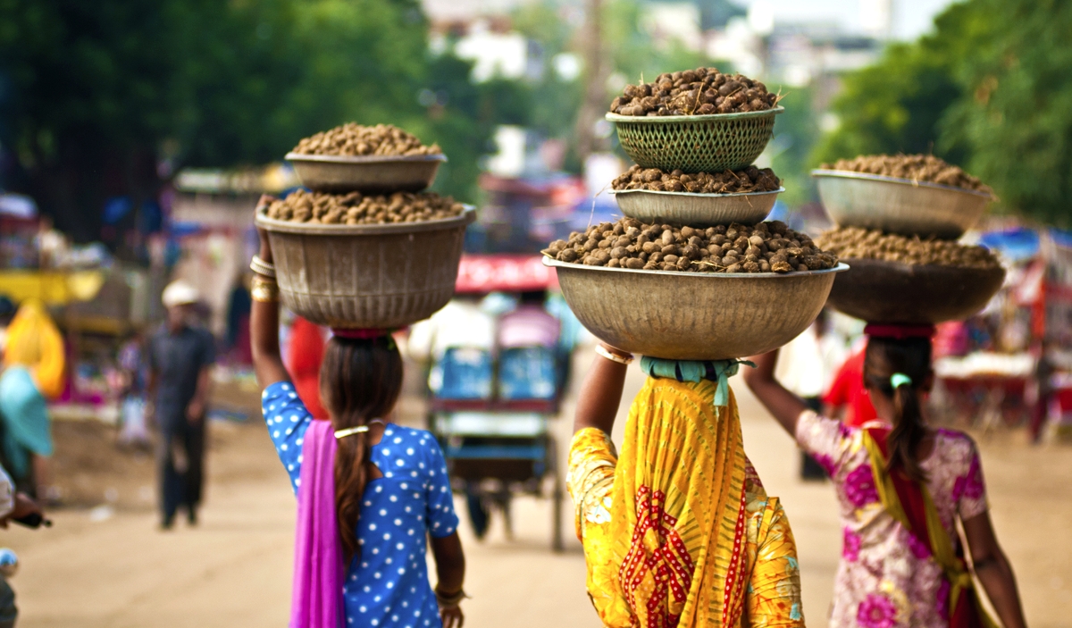 Үндістанға экспорт 26,7%-ға өсті