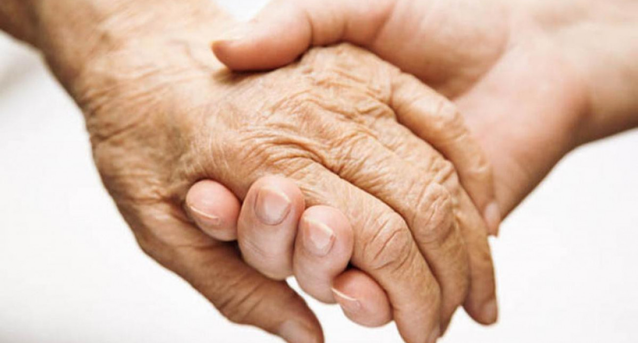 Жыныстық анимация