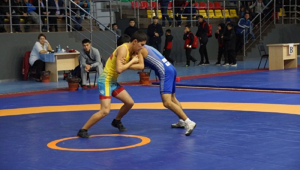 Жас балуандар белдесуі