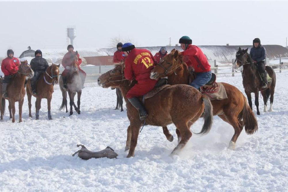 Арқа көкпаршылары атқа қонды