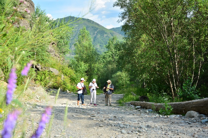 Түкпірдегі елді туризм асырайды