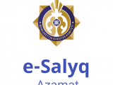 «E-Salyq-Azamat» қосымшасында қандай төлемдерді жүзеге асыруға болады?
