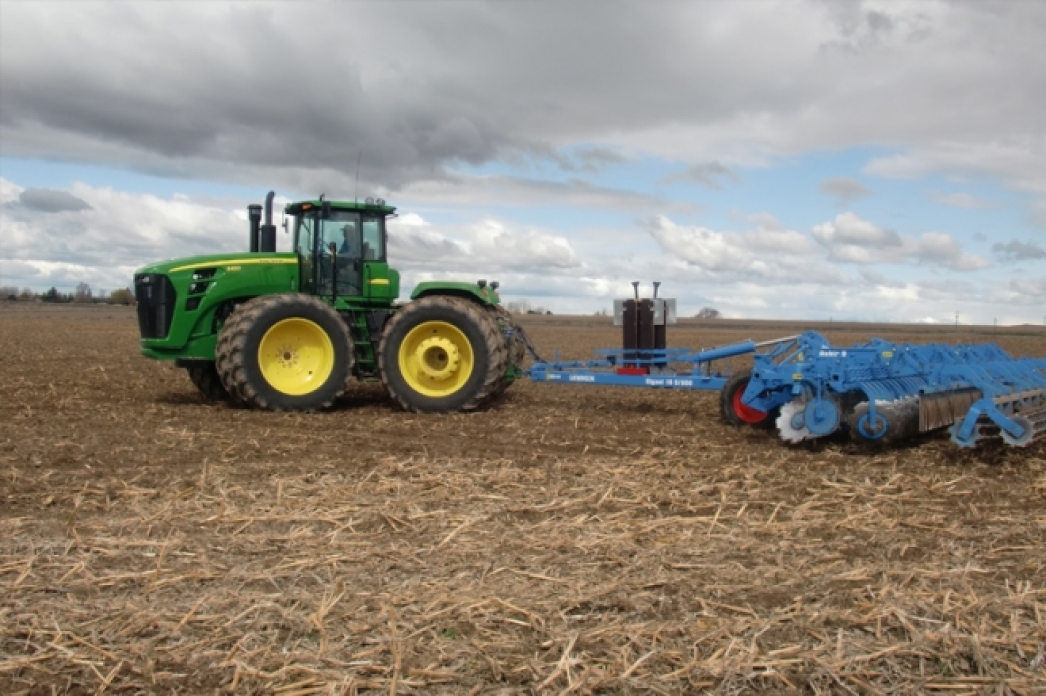 Майлы дақыл алқабы ұлғаяды