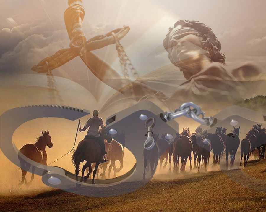 Қатаң жазадан қаймыққан ұры шамалы...