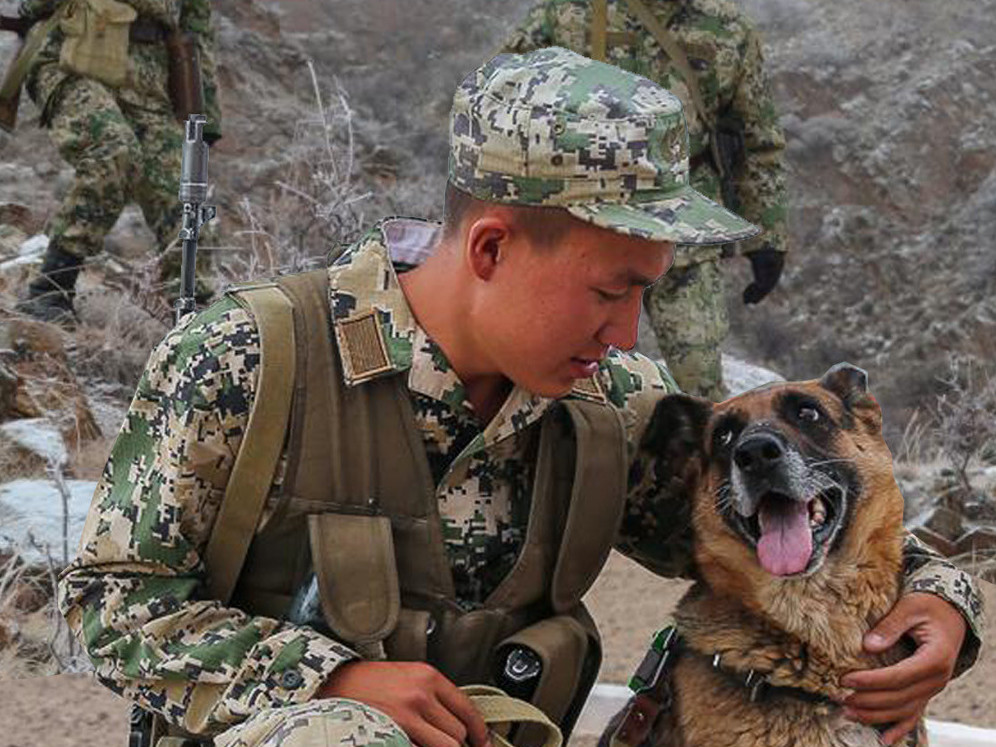 Жағдайың қалай, шекарашы?