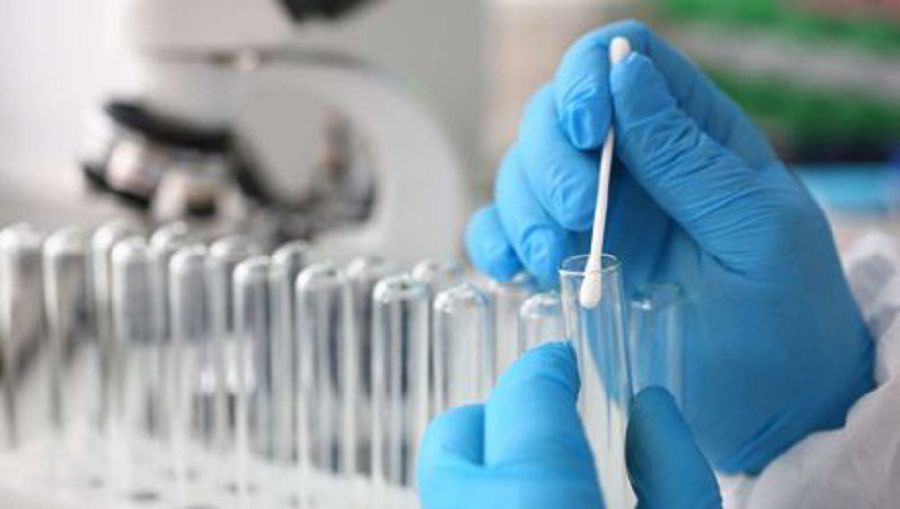 «Жасыл аймақтамыз» деп жайбарақат жүруге болмайды