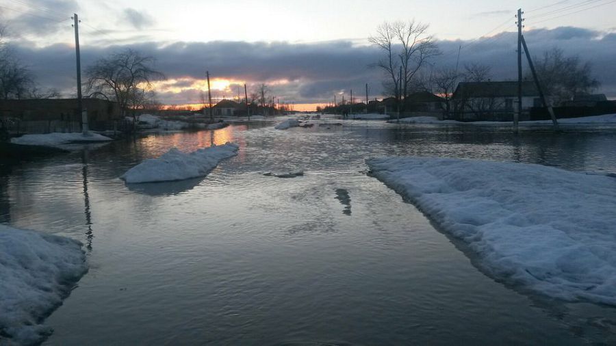 Кірпік қақпай бақылап отыр