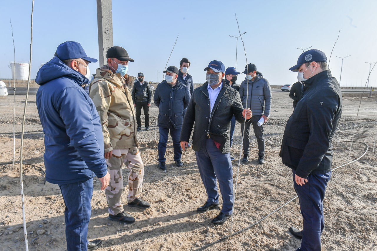 Түркістанда сакура гүлдеді