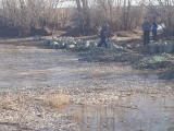 Ақтөбе облысында 4 тонна балық қырылып қалды