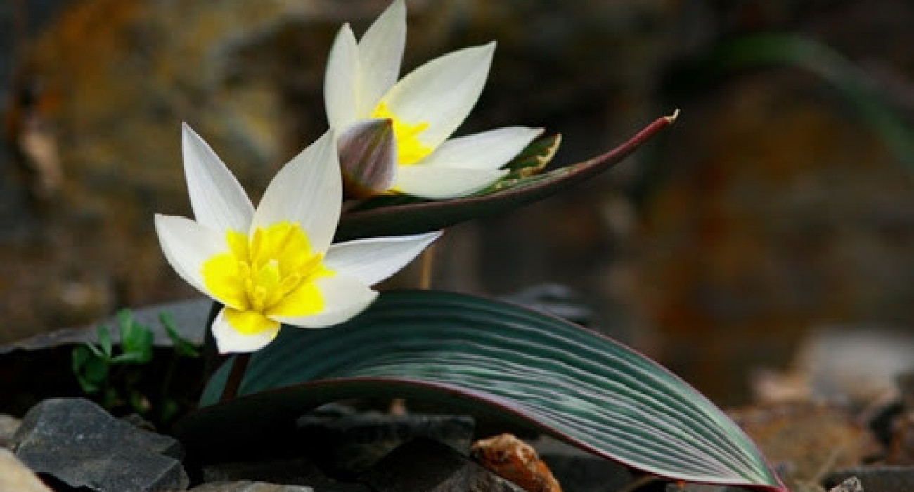 Сексуалдық үй 2: Филипп пен Катя