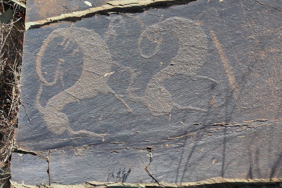 Тарбағатайдың таңбалы тастары