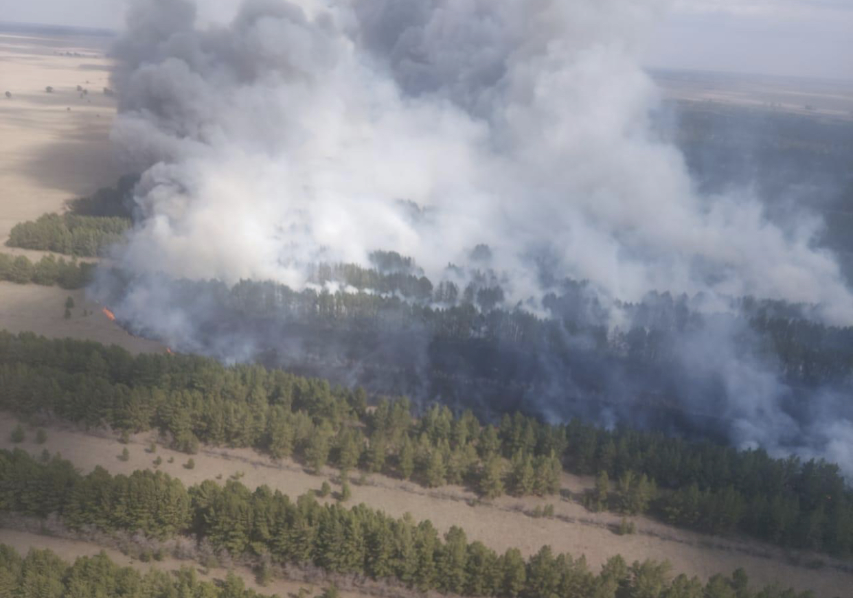 Шалдай орманы тағы да өртке оранды