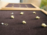 Күлтөбеден табылған алтын сырғалар қорық-музей қорына тапсырылды