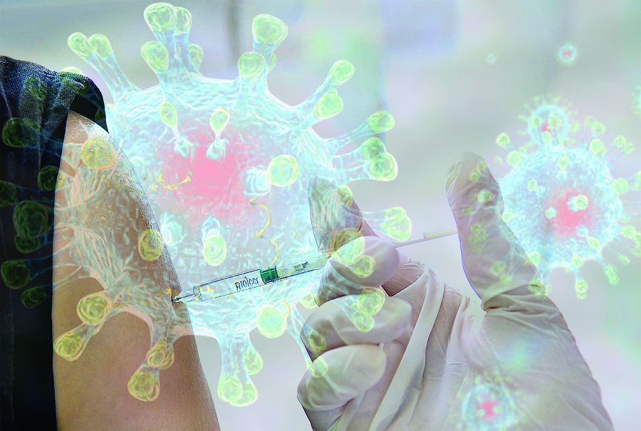 Жаппай вакциналау алгоритмі жасалды