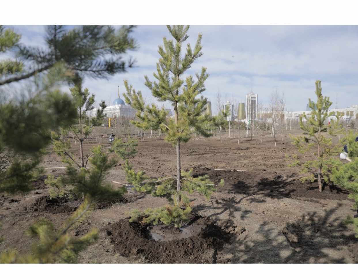 ҚР Мемлекеттік қызмет істері агенттігінің қызметкерлері сенбілік өткізді