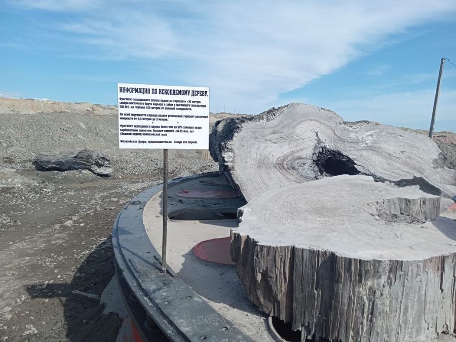 Кеніш қойнауынан табылған олжа