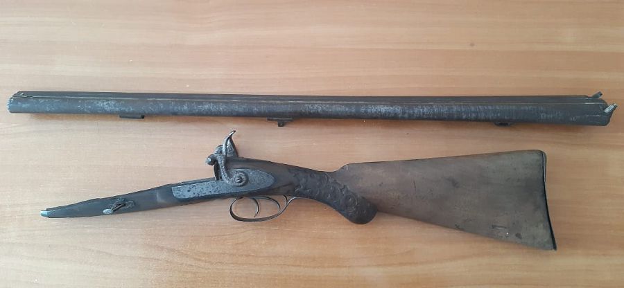 Қарулардың көнесі Алтай мен Риддерде