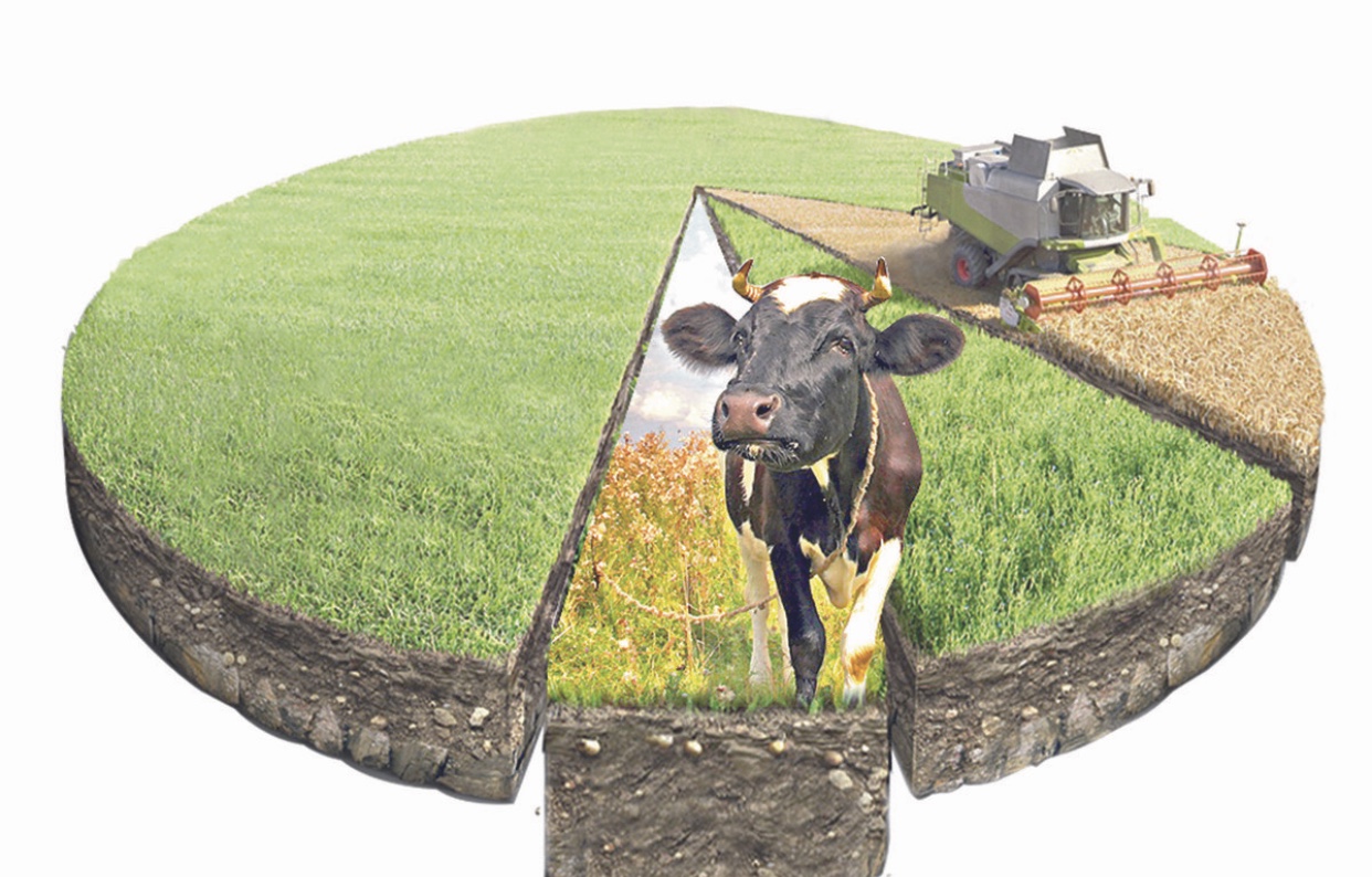 Өріссіз ауылдың тұрмысы өрістемейді