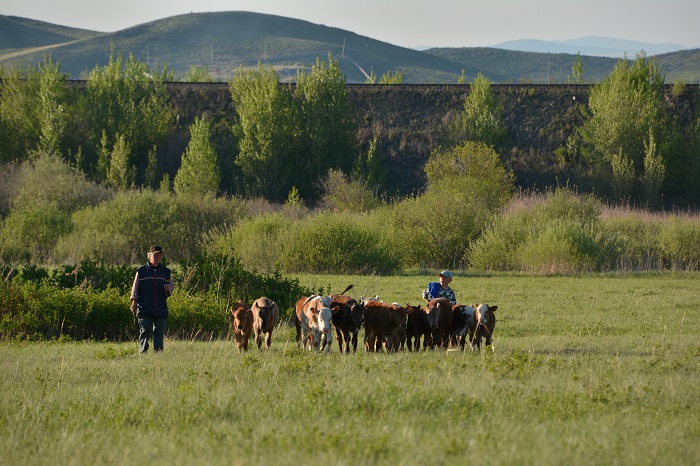 Шабындық пен табындық жер жетпейді