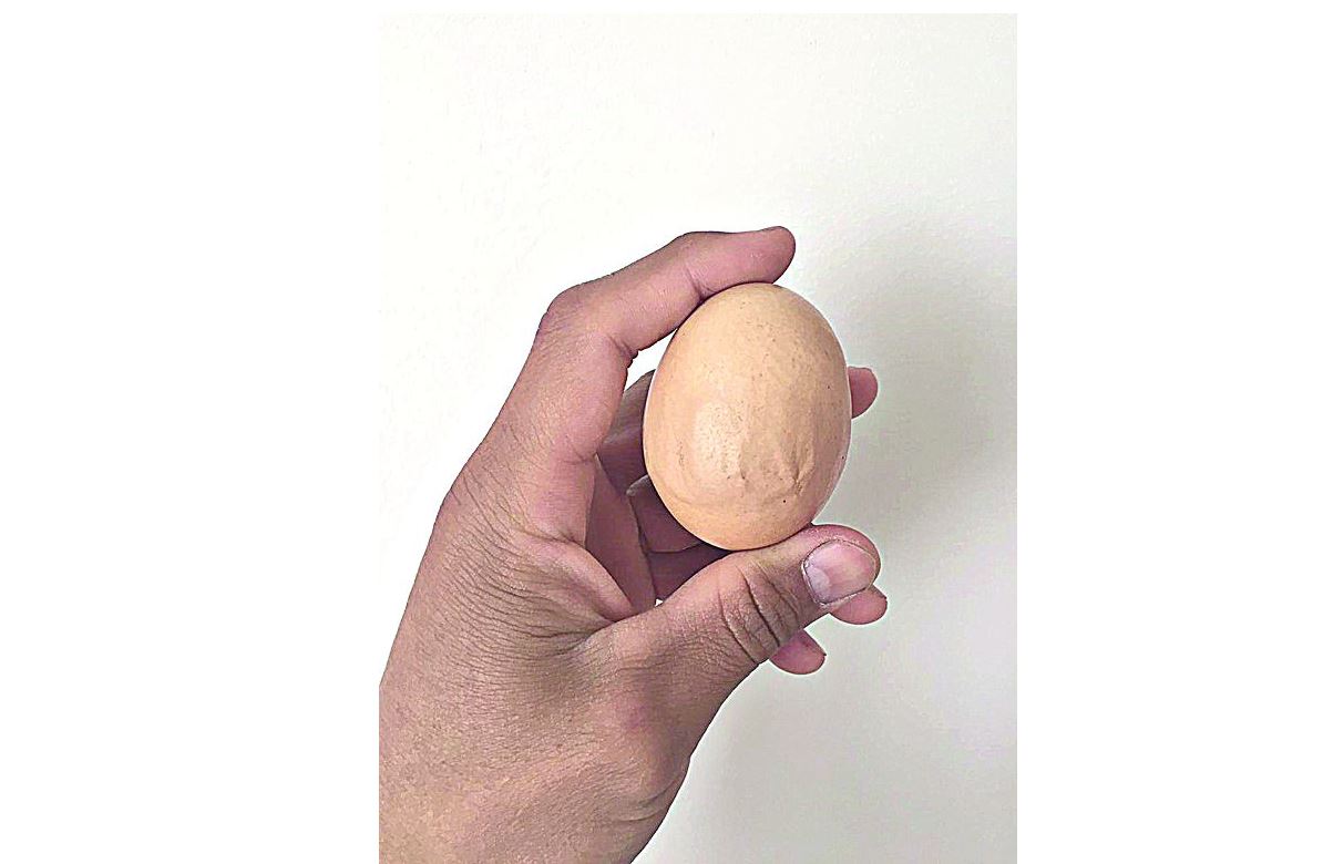 «Алла» деген жазуы бар жұмыртқа