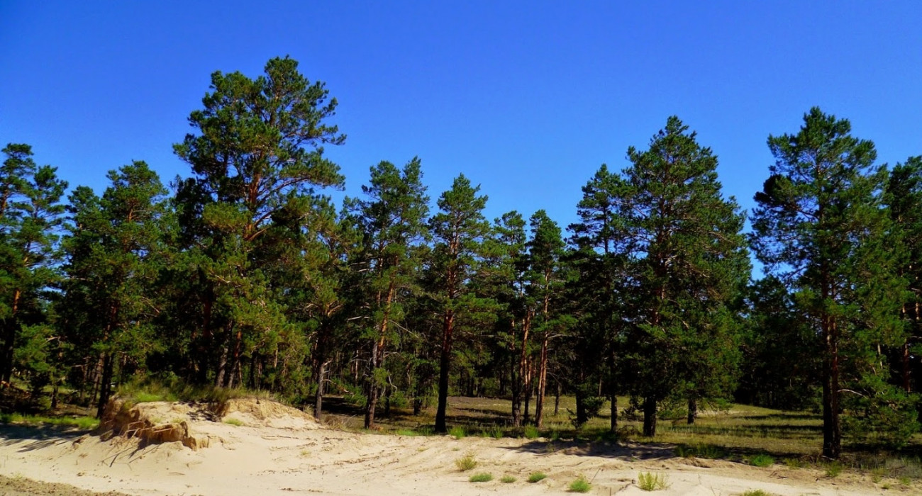 Секс машинасы 2 онлайн