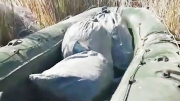Балқашта браконьерлерден 6 тонна балық тәркіленді