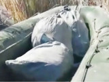 Балқашта браконьерлерден 6 тонна балық тәркіленді
