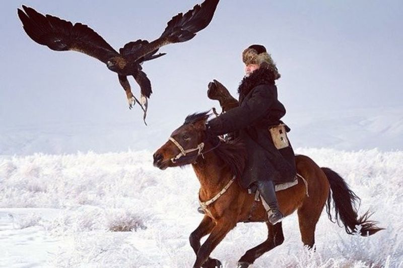 Аңшылық – қазақтың байырғы кәсібі