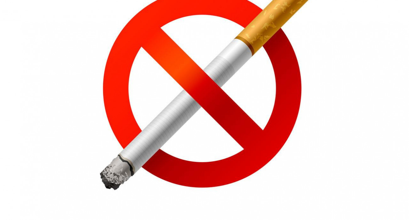 Темекі шегетін қынаптың суреті