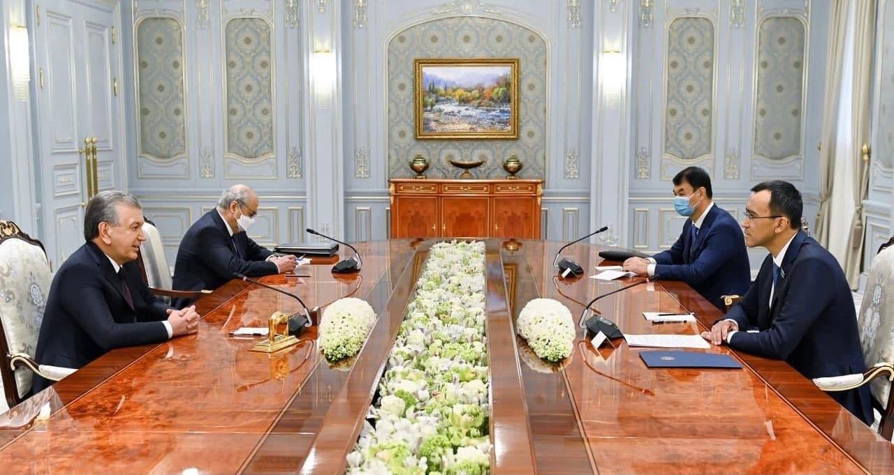 Мәулен Әшімбаев Өзбекстан Президентімен кездесті