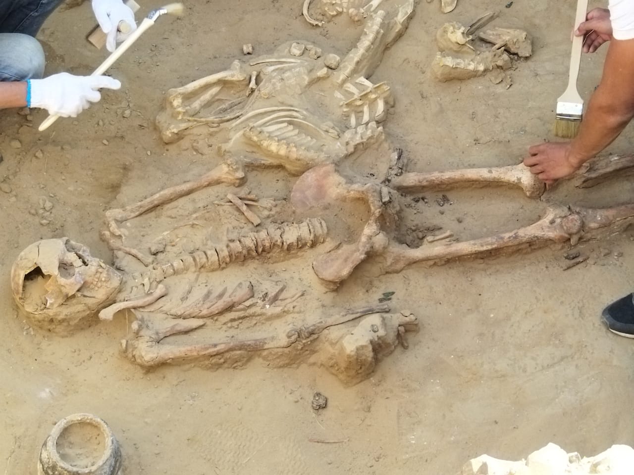Атырау облысында сармат жауынгерлерінің сүйегі табылды