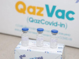 QazVac вакцинасын әзірлеушілер Medsupportkz сынына жауап берді