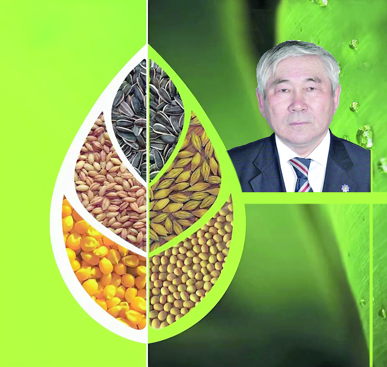 Ғылымның қия жолында