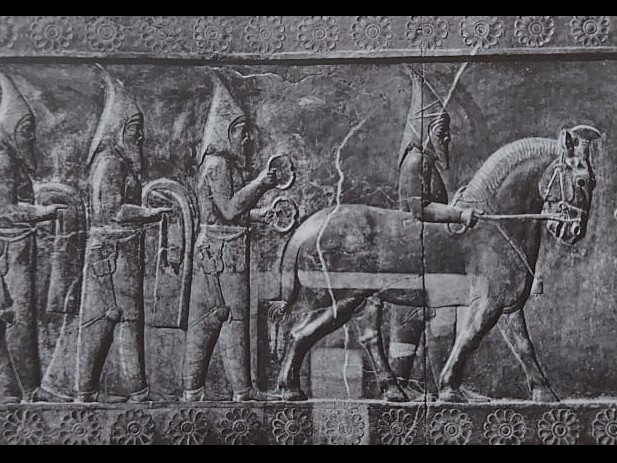 Клитор порно секс минет лесбиянка