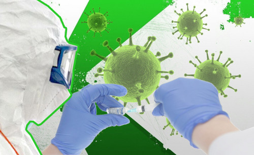 «Жасыл аймақ» жасыл жайлау емес