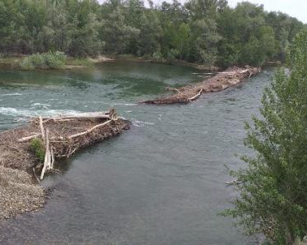 Зодва вабанту прыгнула