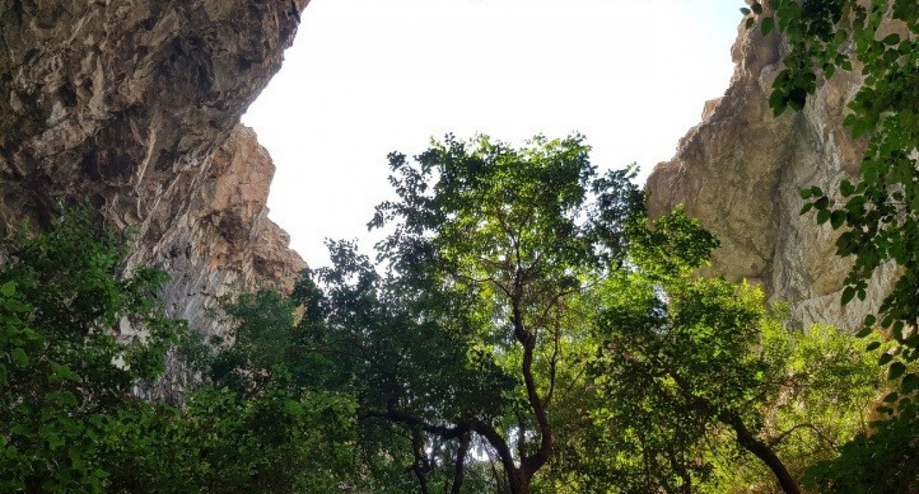 Жалаңаш Гвинет Пэлтроу Жас француз әйелдер порно