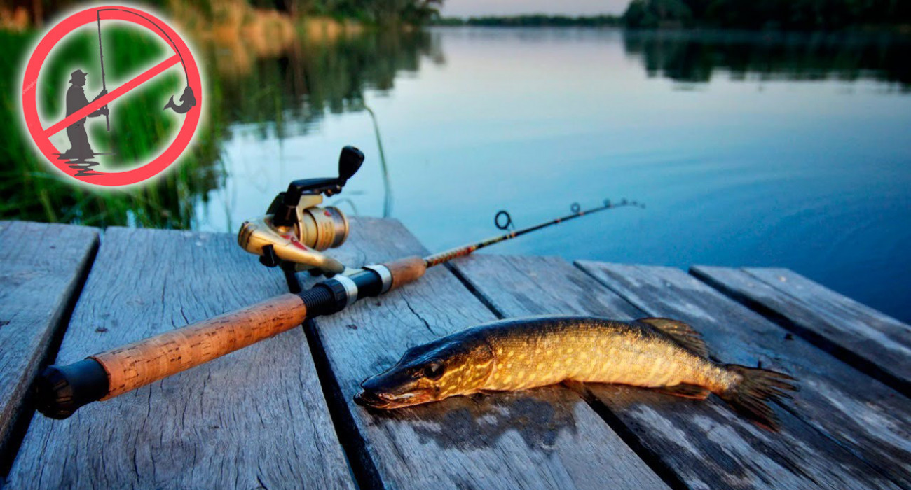 Қыз билеп, кеудесін шайқайды.